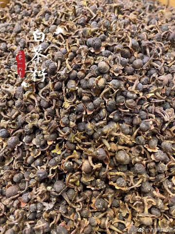 兔丸，神秘的生物与神秘的故事-第3张图片