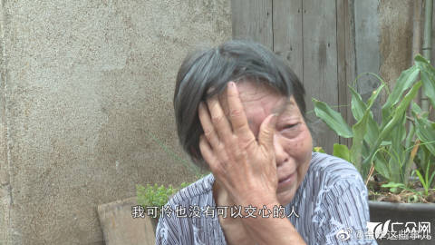 探索h肉肉导航，健康与美丽的新里程碑-第2张图片