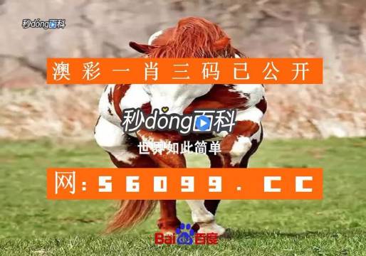 澳门一肖一码准选一码的应用场景