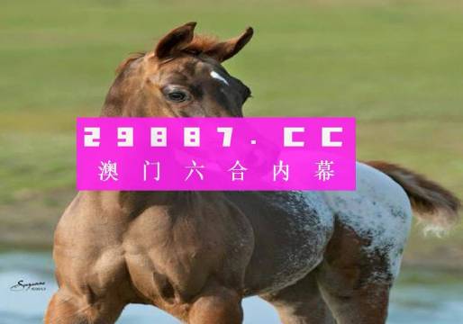 今日特马，探索今日的新奇与亮点