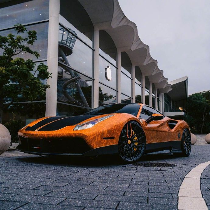 488铁算结果开奖结果小说-第2张图片