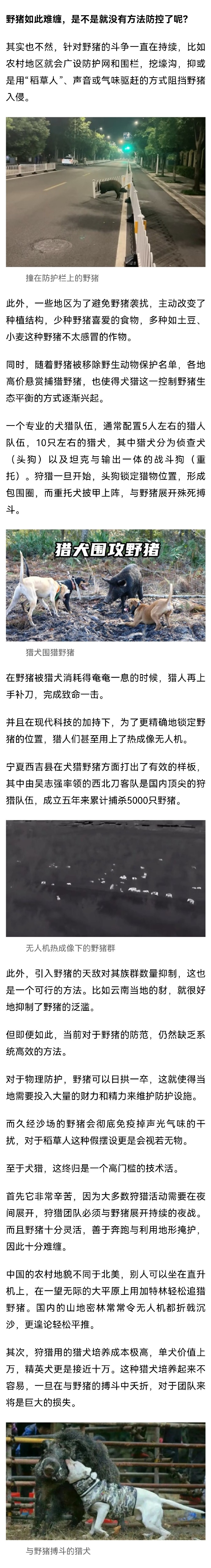 dnf真野猪地图怪物详解DNF真野猪攻略-第2张图片