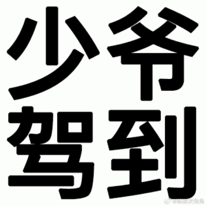 糙汉部队H1VNP-第2张图片