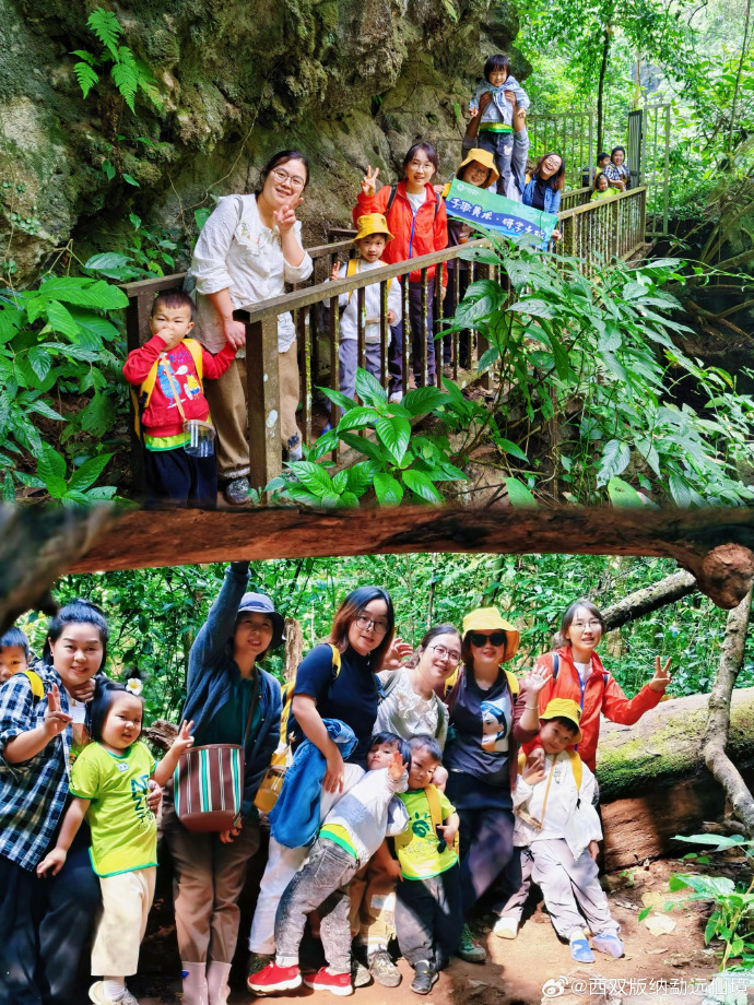成都到云南旅游团成都至云南旅游团，探索神秘之旅-第2张图片