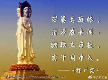 青青草在观免费-第2张图片
