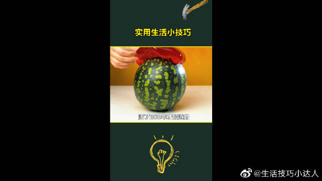 早上被C醒是一种奇妙的体验