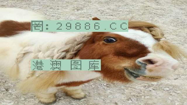 澳门六特马资料免费大奖澳门六特马资料免费大奖介绍-第3张图片