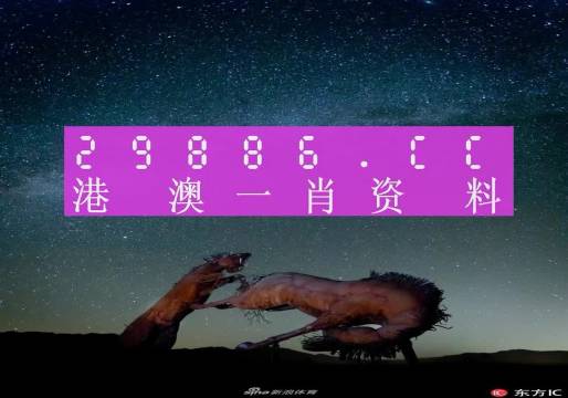 彩霸王，引领潮流的神秘力量-第2张图片
