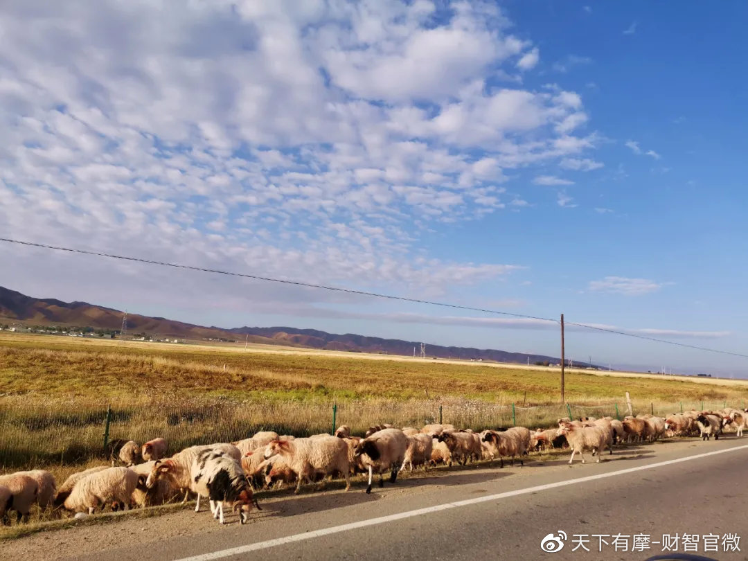 欧美无人区码卡免费体验之旅-第3张图片