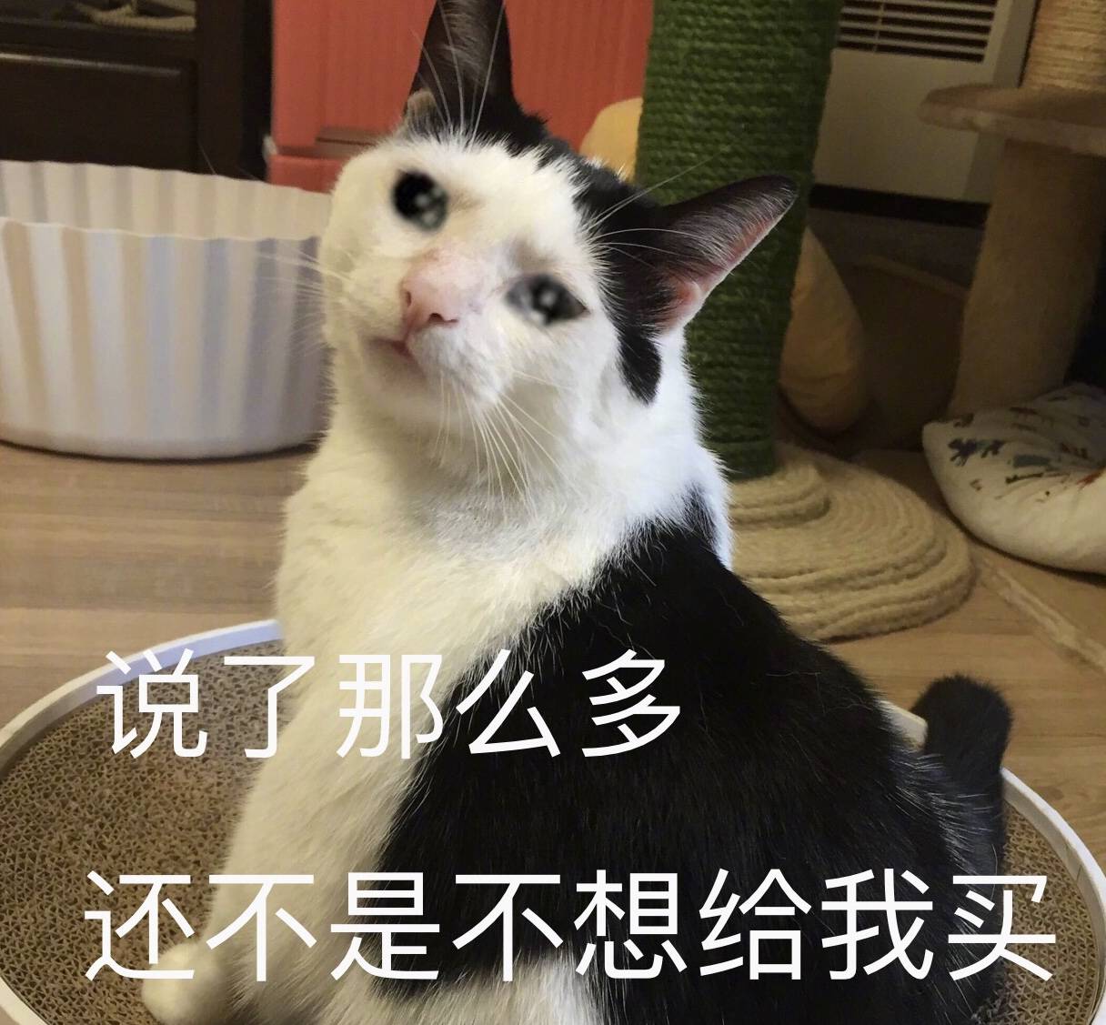 宝贝儿流了那么多还说不宝贝儿流了那么多还说不
