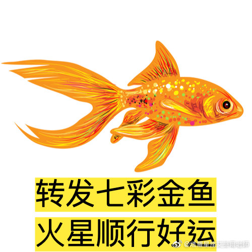 金牛论心水com金牛论心水-第2张图片
