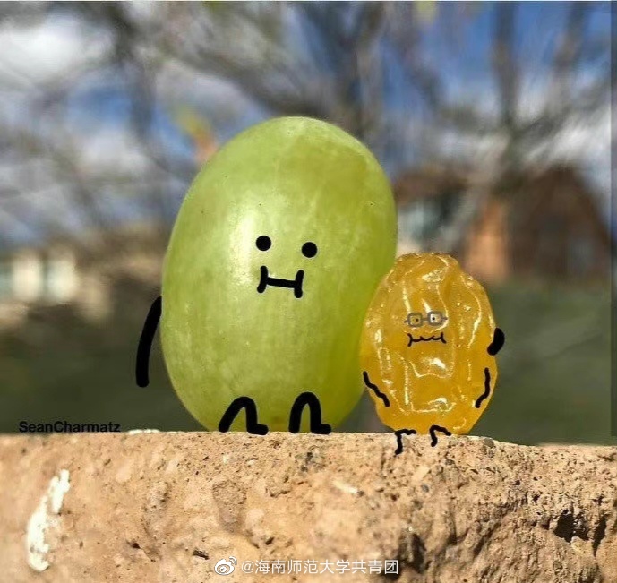 水果奶奶免费资料本期水果奶奶免费资枓大全