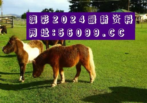 澳门一肖一码100%准确安澳门一肖一码，100%准确保证