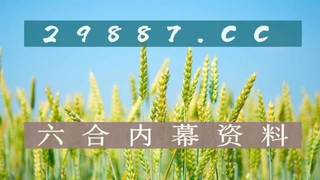 六合高手论坛，探索网络交流的新天地-第2张图片