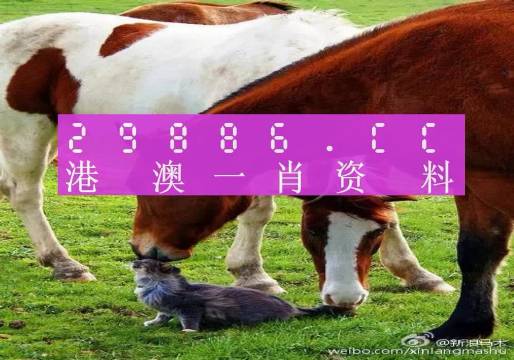 51无人区码一码探秘