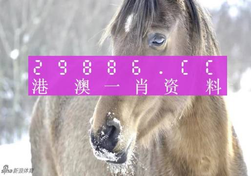 黄大仙一肖一码开奖37B黄大仙一肖一码开奖37B，神秘与惊喜的体验-第2张图片