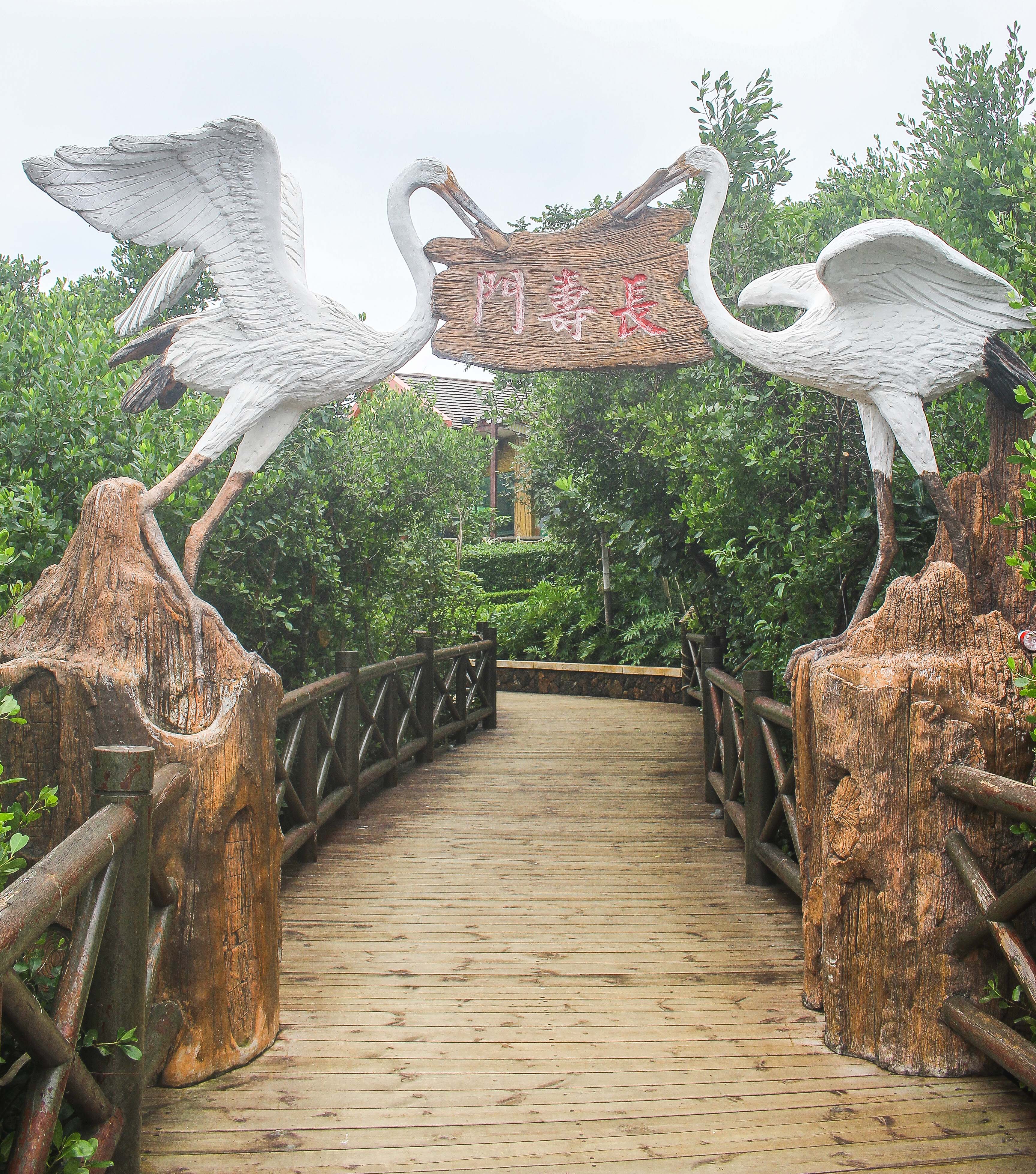 澄迈富力红树湾湿地公园澄迈富力红树湾，自然与人文的完美融合-第3张图片