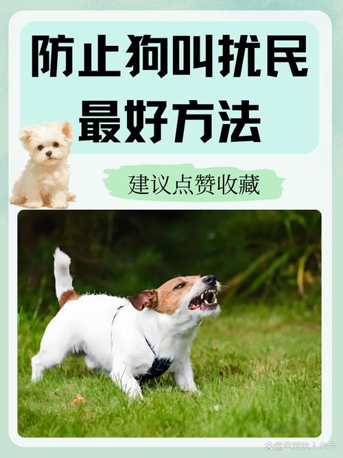 S如何调M小狗_S如何调M小狗_小狗调皮的时候怎么写