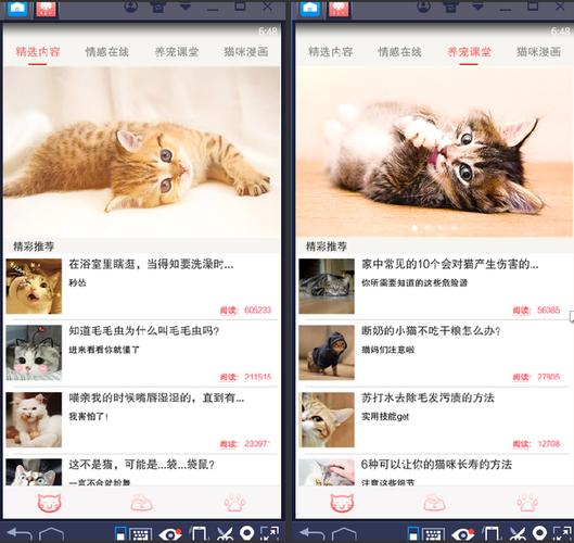 猫咪官网社区app查看为什么_猫咪社区官网点击进入_猫咪官网社区点击查看为什么