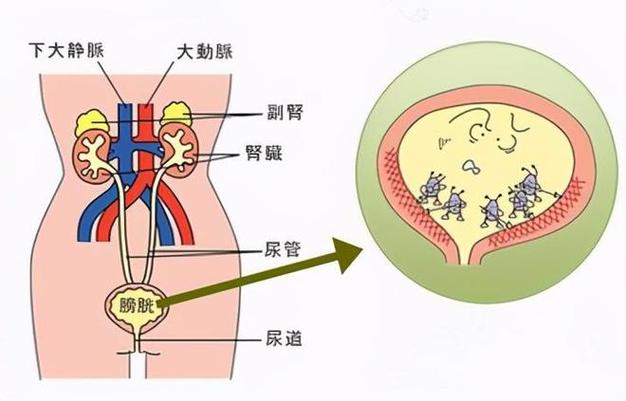 小便散开_小便时尿是散的什么原因_女厕所小便拍正面散尿