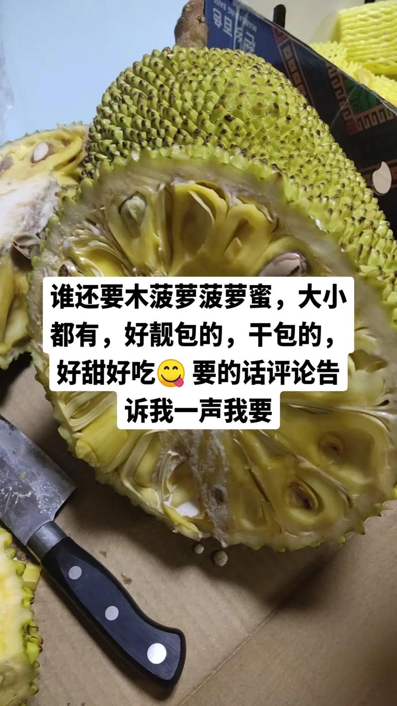 菠萝菠萝蜜在线观看视频 菠萝菠萝蜜视频播放：合法观看与版权保护的重要性解析