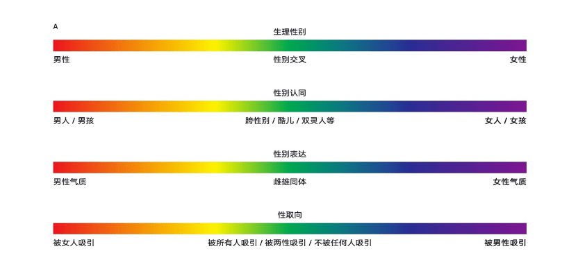 老年男性同性恋，理解与尊重的旅程-第2张图片