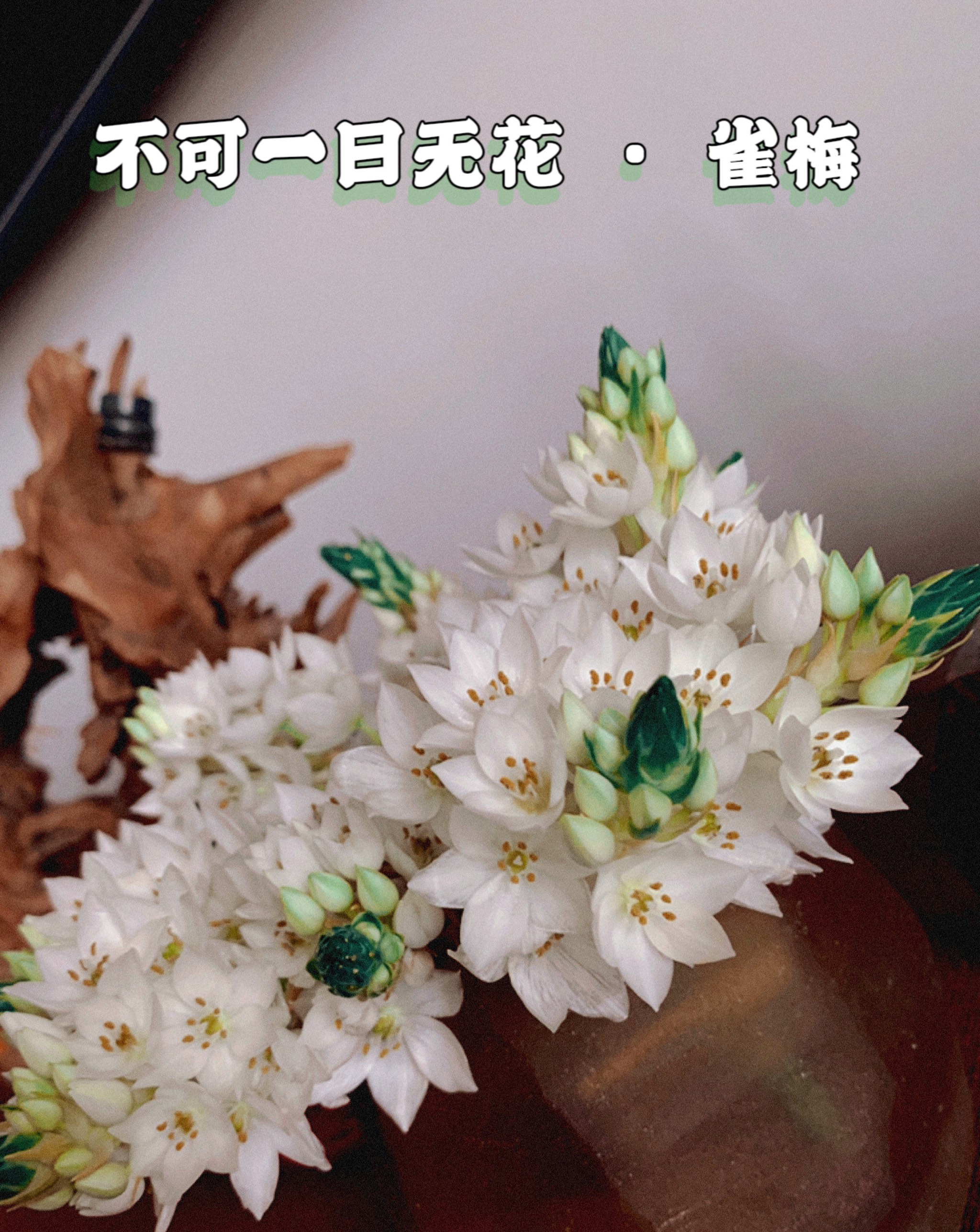 花季v3.072污版破解版花季破解版V3.0.2，破解版背后的法律与道德问题-第2张图片