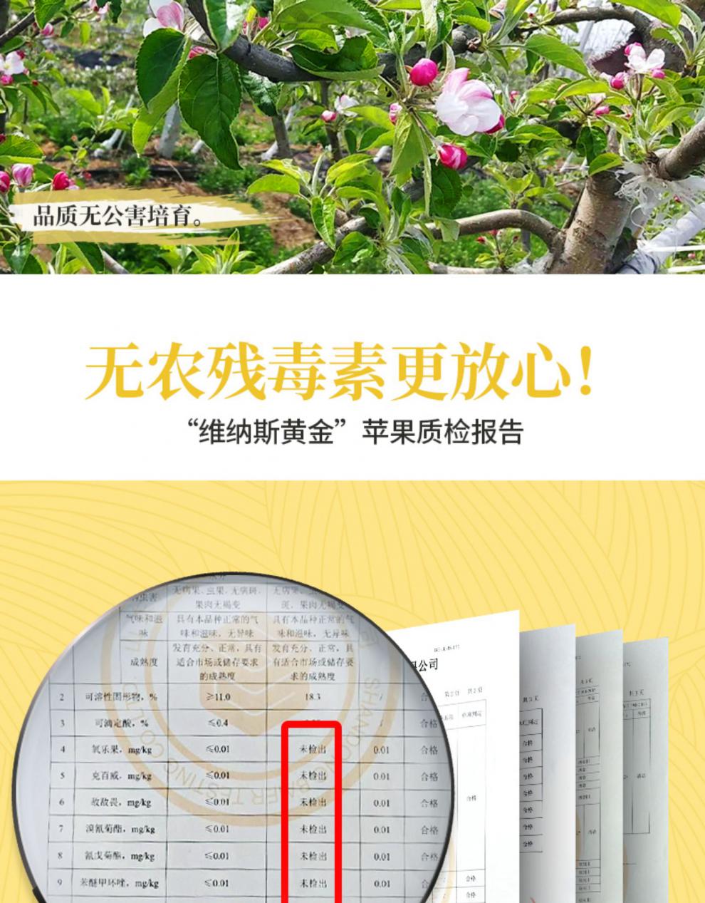 精产国品一二三产区M553精产国品一二三产区M553，品质之选-第1张图片