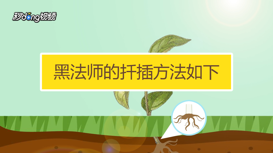 在床上的72种扦插方法真人做爱45分钟，真实的情感体验-第1张图片