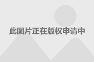 中国女人一级毛片，色情内容的泛滥与监管困境-第2张图片