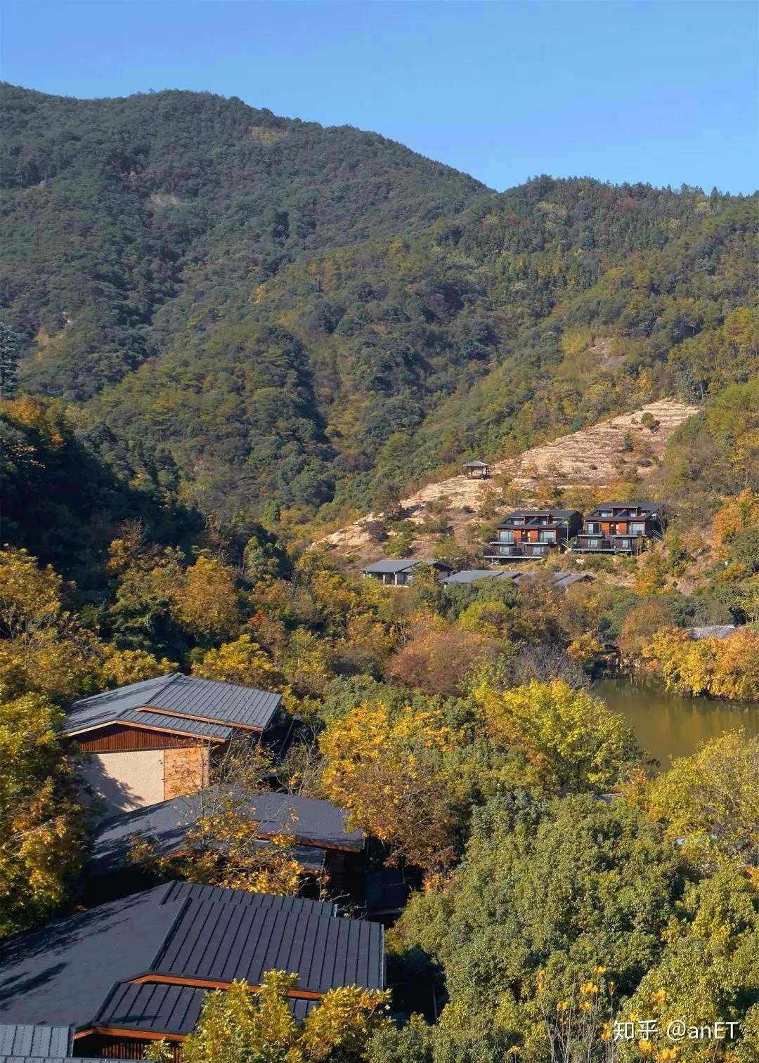 神秘三角芳草地小说神秘三角芳草地-第3张图片