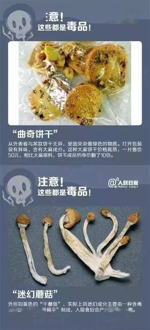 黄图APP，警惕网络上的潜在风险-第1张图片