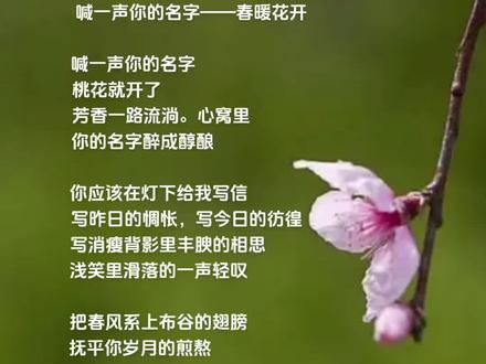 春暖花开 x吧有你春暖花开，有你相伴-第1张图片