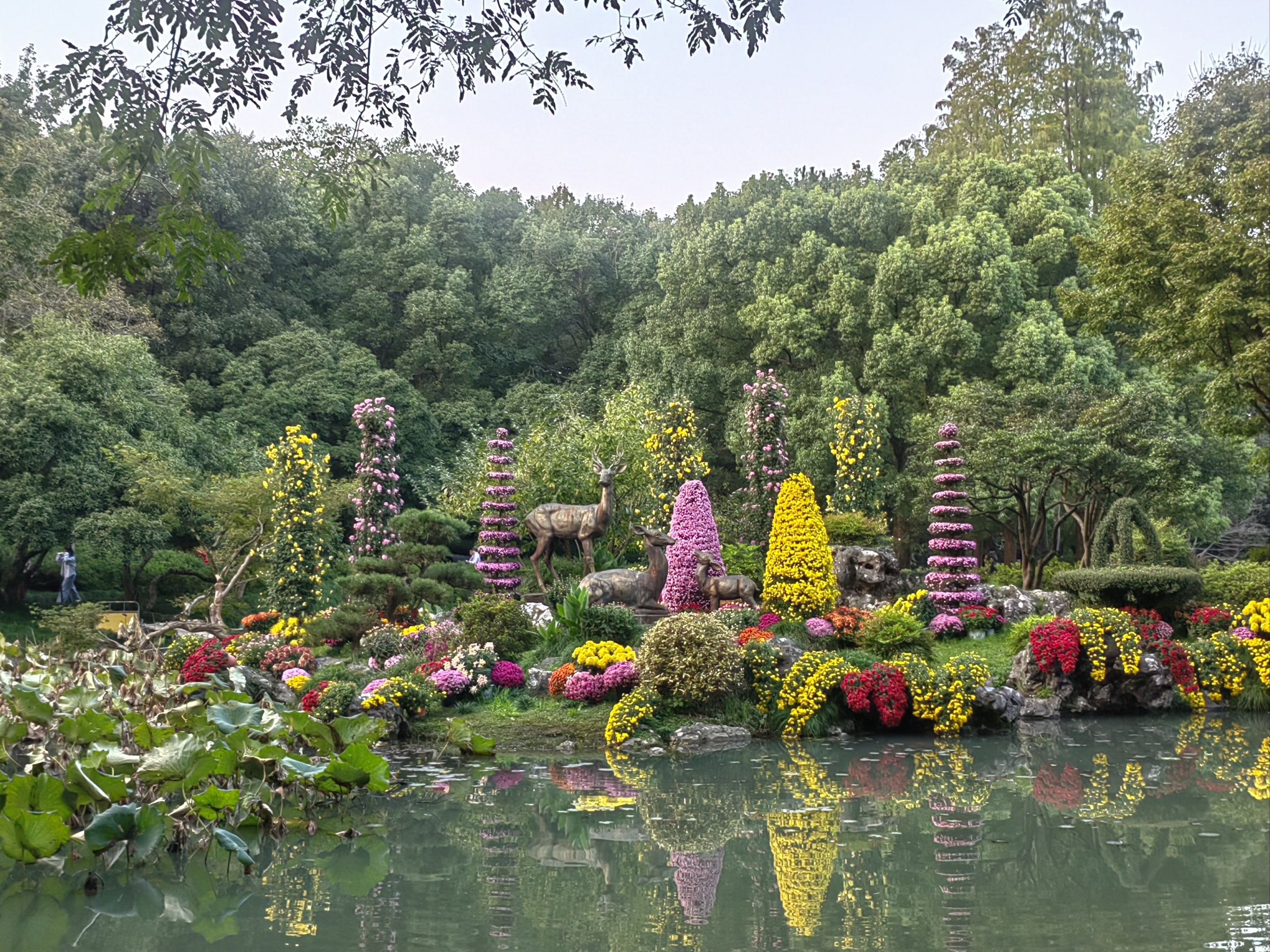 植物园第一会所，探索自然之美与休闲之乐-第1张图片