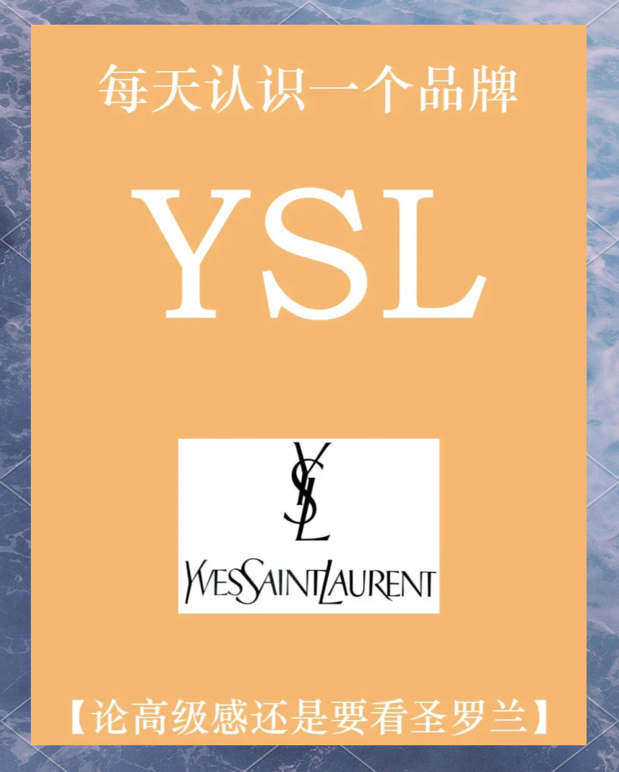 ysl千人千色t9t9t9t9t9mba精华一区与二区区别探讨-第2张图片