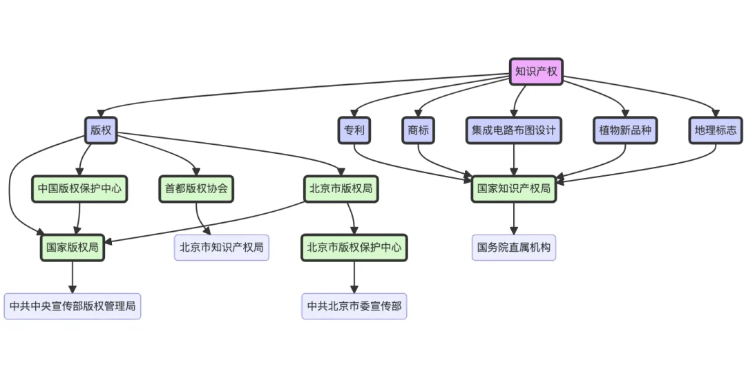 看这里看这里，探索数字化时代的无限可能