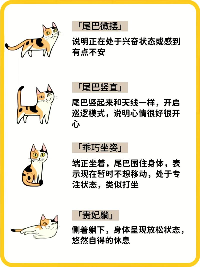 猫咪下载网站 猫咪下载站点风险揭秘：侵权与安全威胁的双重隐患