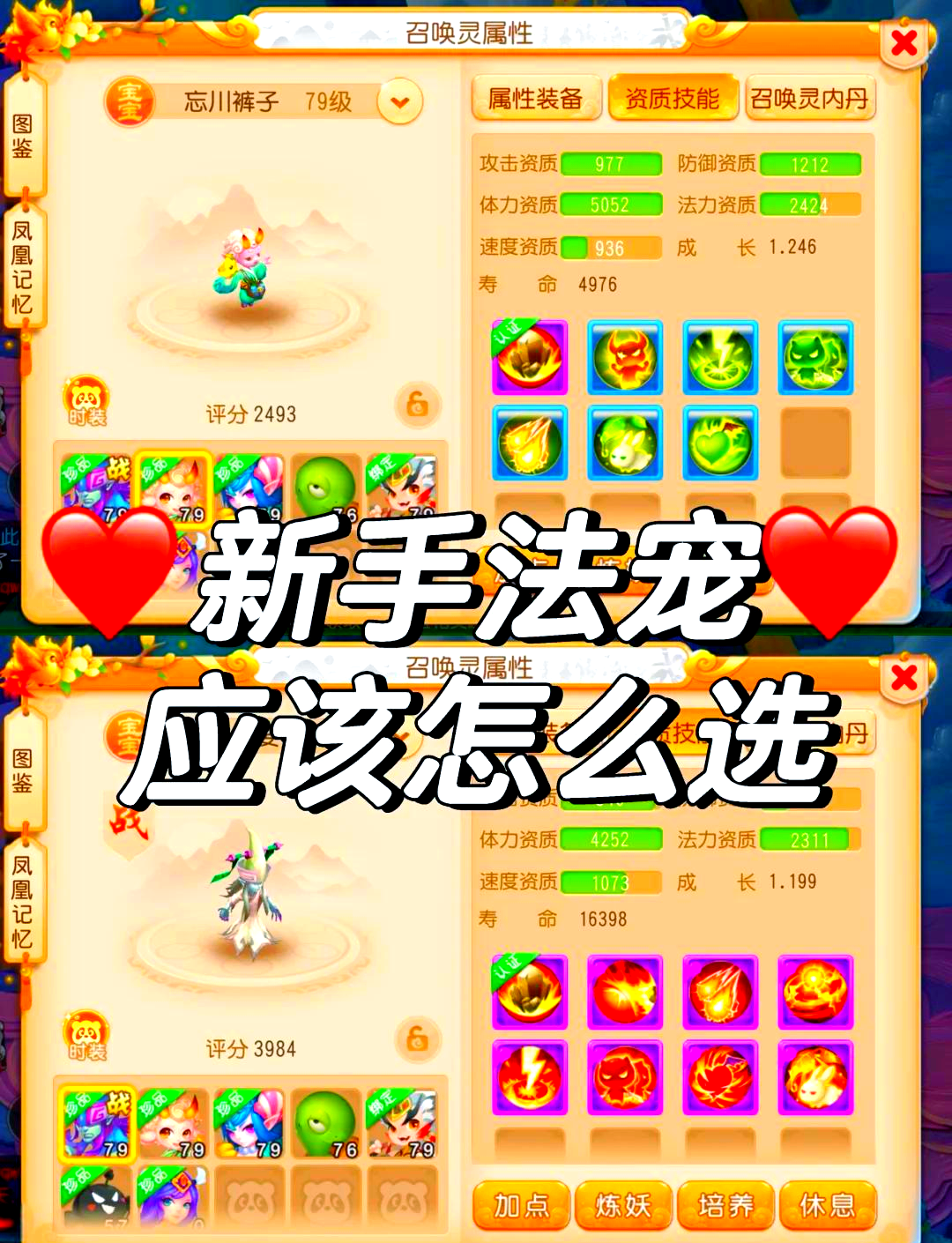 诛仙宠物如何快速砸到20星诛仙宠物，玩家们的温馨伴侣-第1张图片