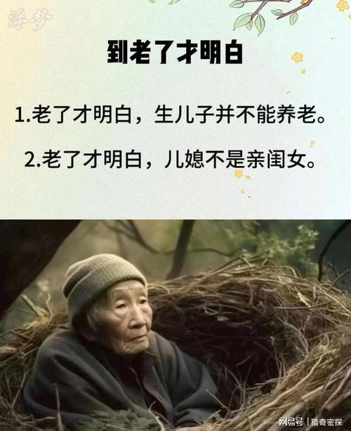 女婿的比丈夫的大 家庭关系中女婿与丈夫的角色差异及其影响：多角度分析与理性探讨