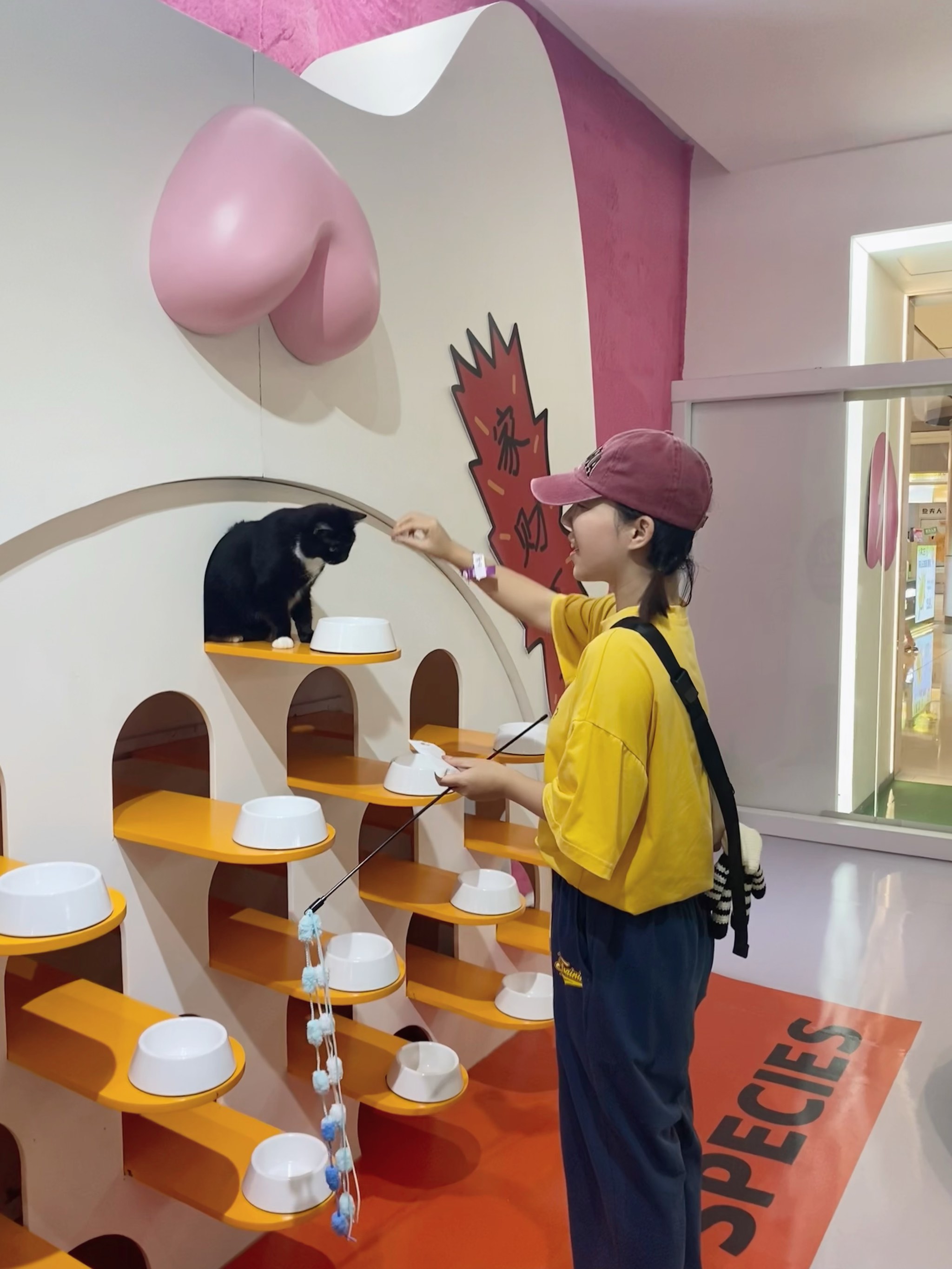 撸撸看影院，沉浸式观影新体验-第2张图片