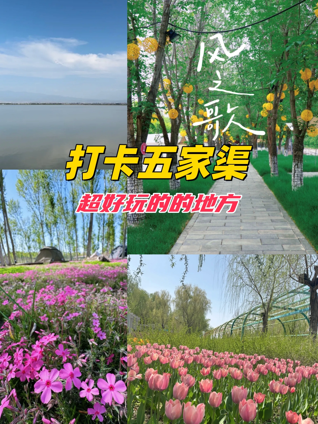 新疆五家渠，多元文化与美丽风景的融合
