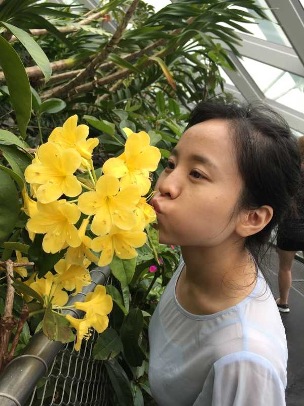 gogogo免费高清摄影技巧分享Gogogo高清视频如何开始