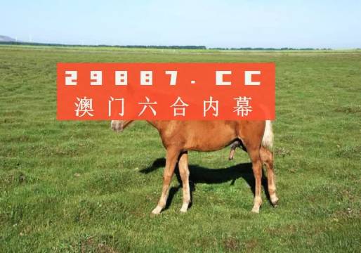 新澳彩资料免费长期公开四大才子新澳彩资料免费长期公开，四大才子的彩票之路