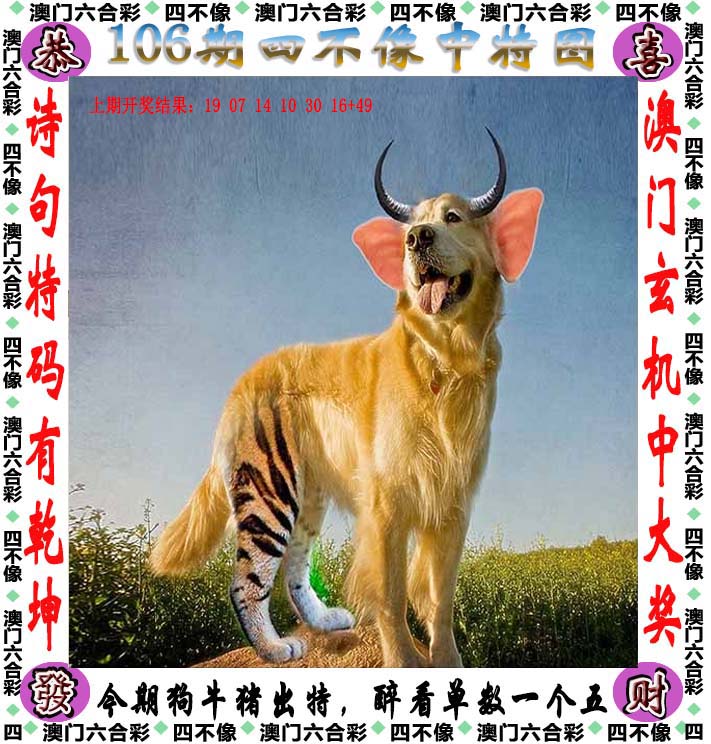 二四六天天好彩免费彩下载