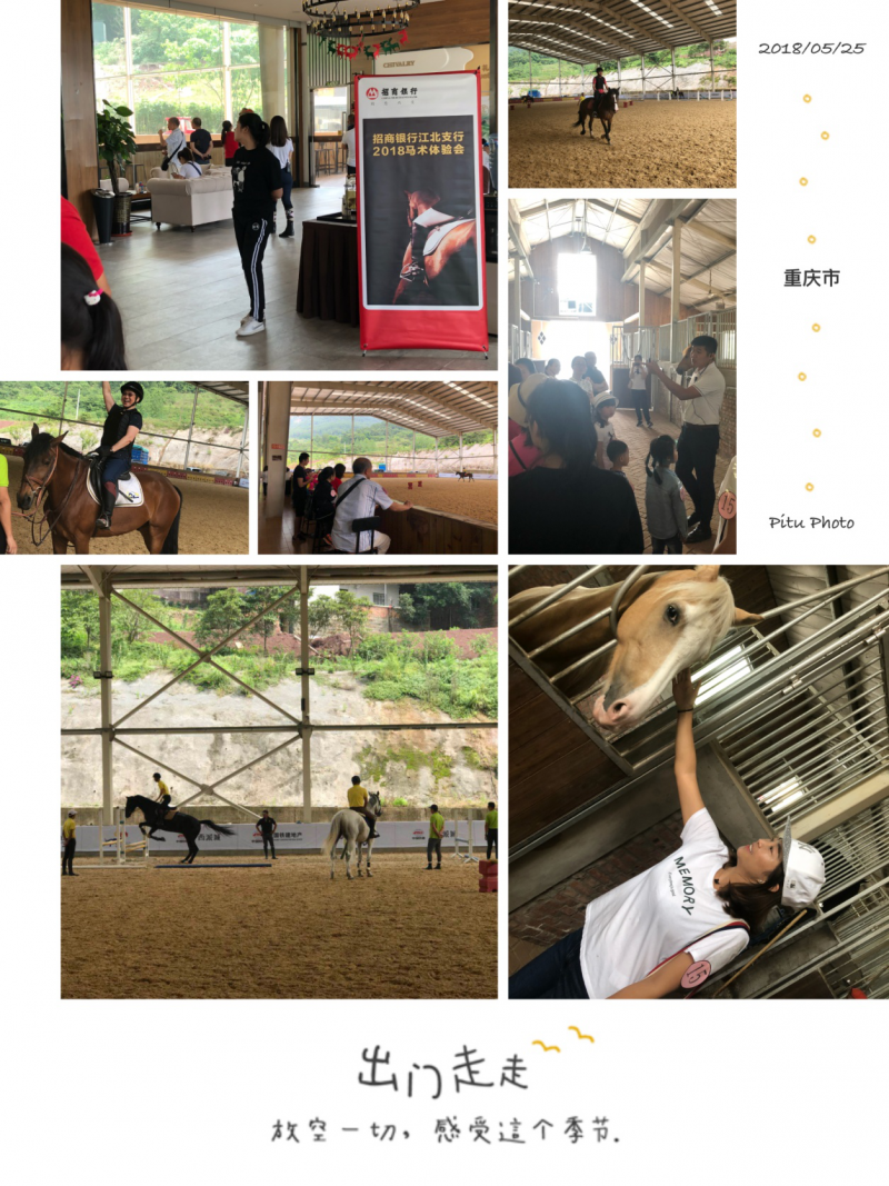 2018马会免费资料大全2018马会免费资料大全-第1张图片