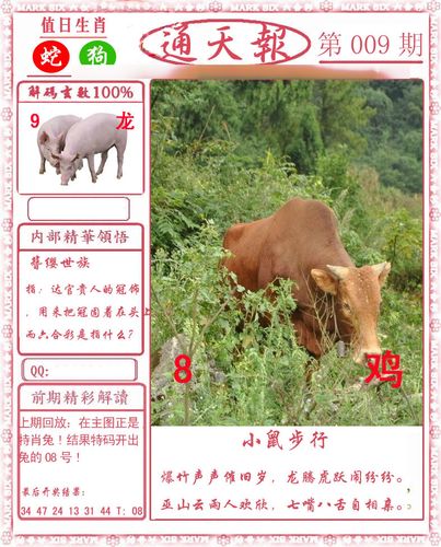 澳门论坛资料库生肖表