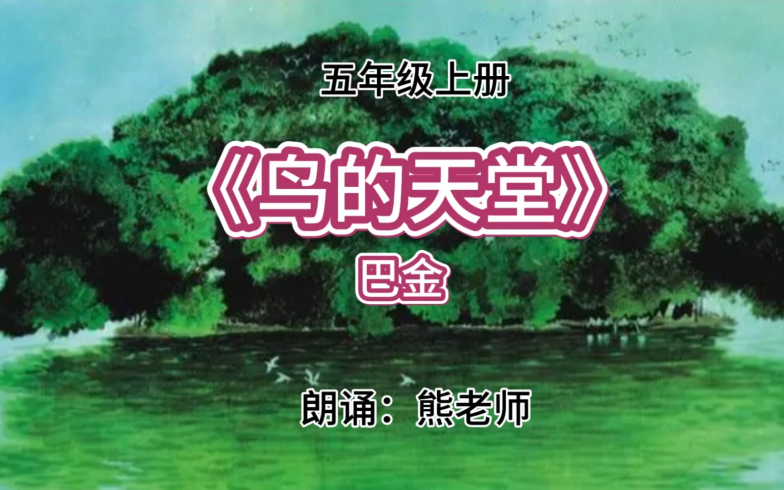 天堂鸟论坛怎么打不开天堂鸟论坛，探索网络交流的新天地-第1张图片