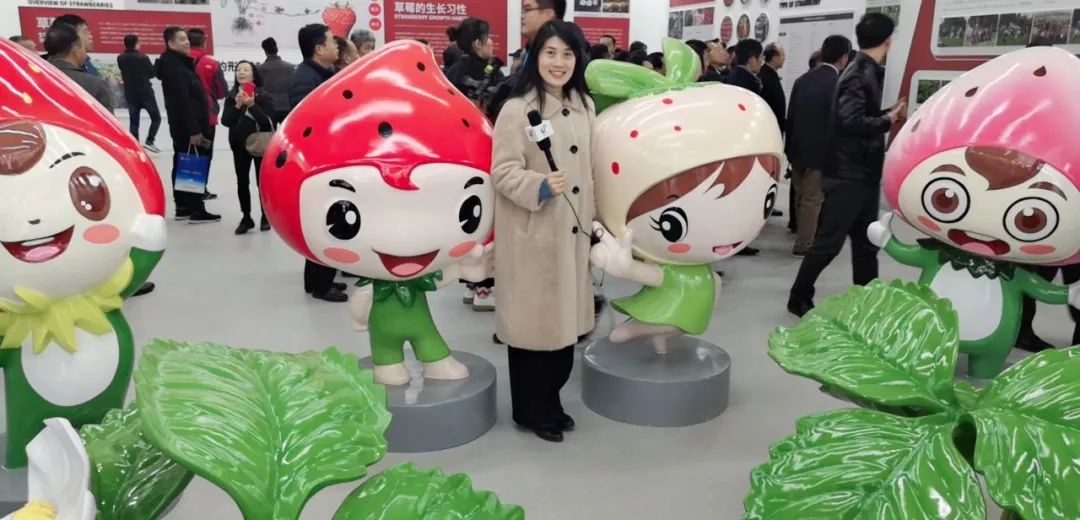 草莓视频18在线观看入口-第1张图片
