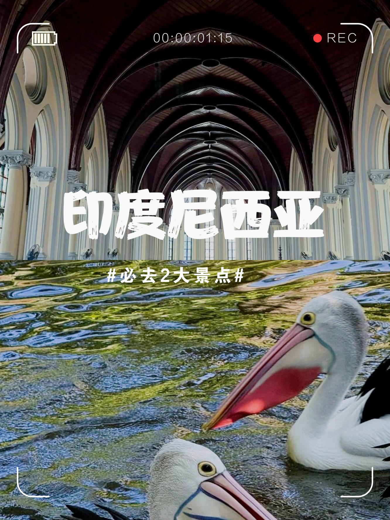 印度性HD18，探索神秘魅力与多元文化-第1张图片