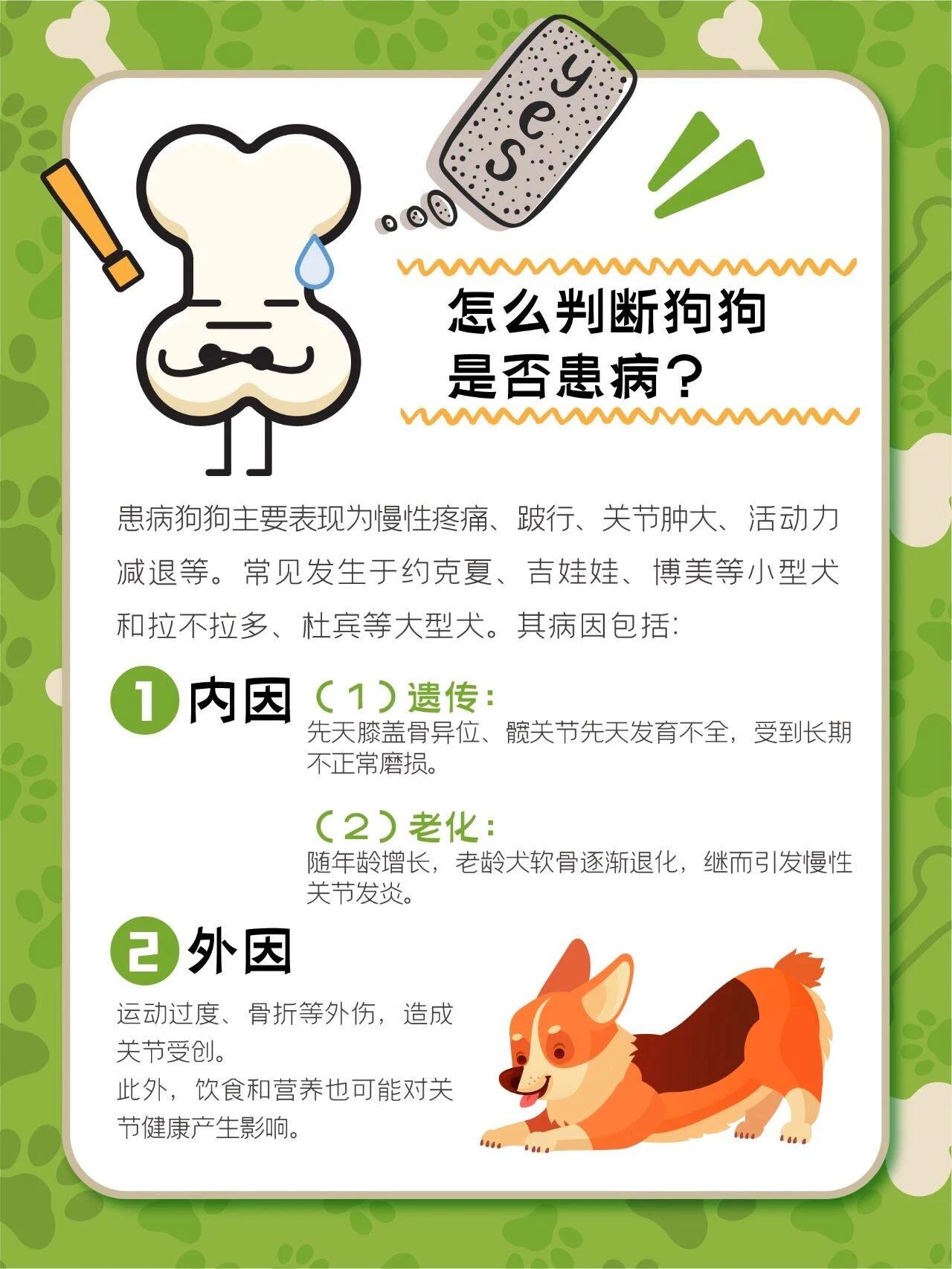 我家狗狗卡住痛怎么办